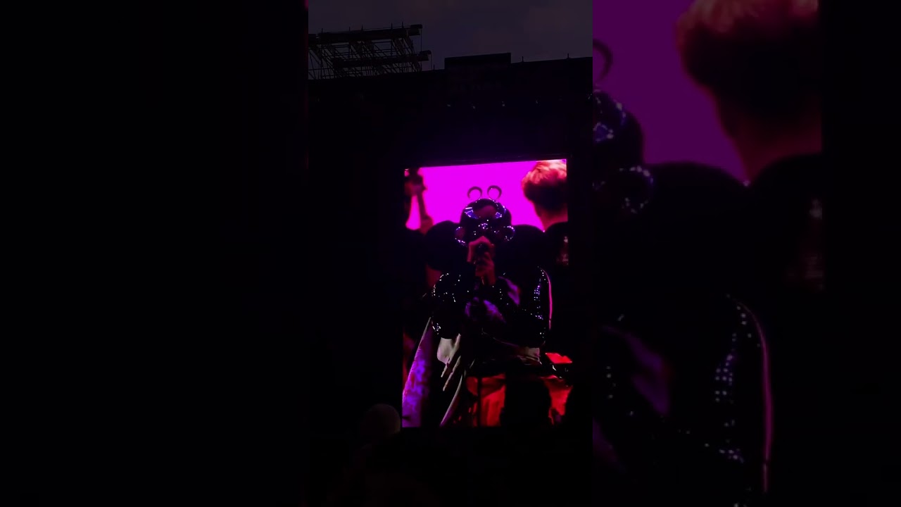 @Bjork speaks in portuguese  : &ldquo;obrigado&rdquo;.Primavera Sound S&atilde;o Paulo (2022)