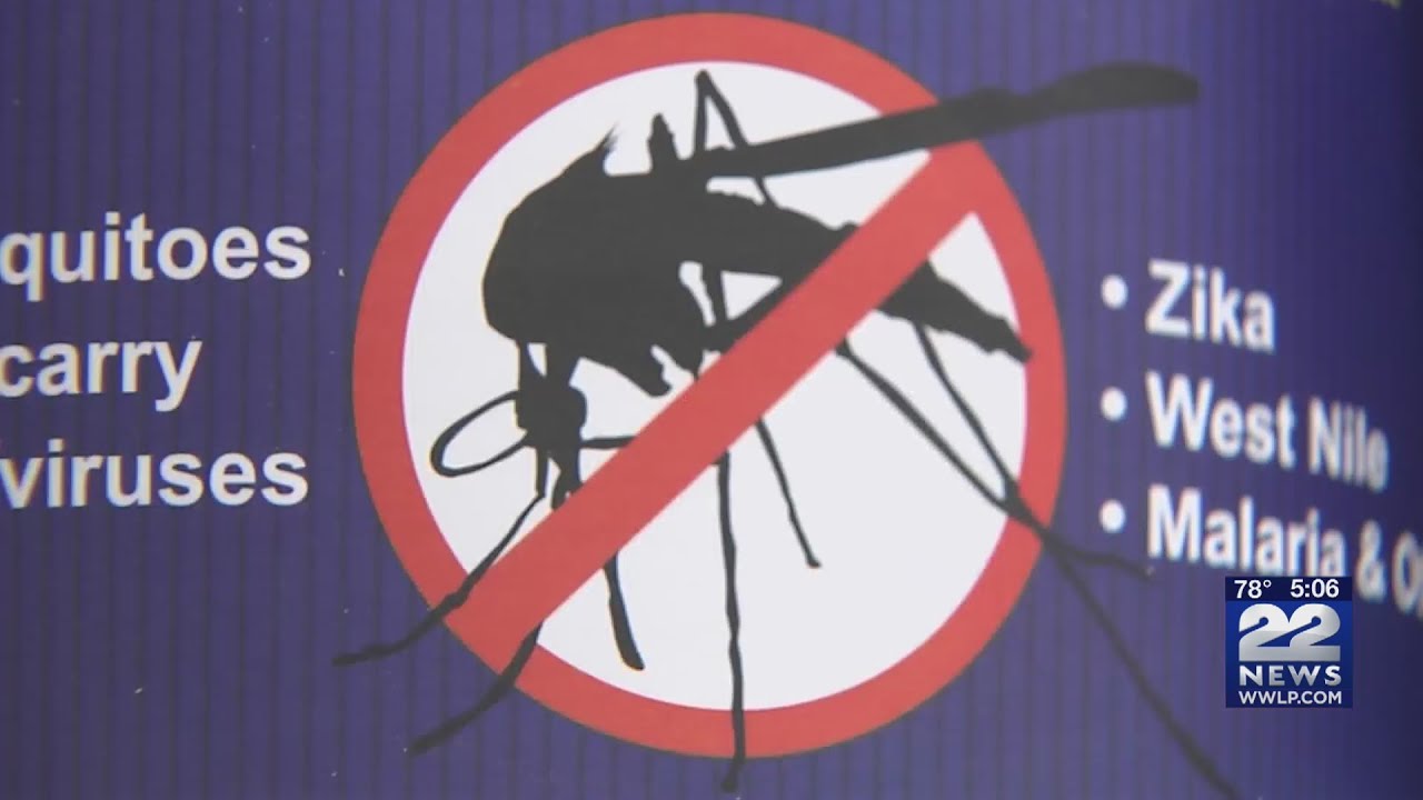 High mosquito population expected in western Massachusetts this summer