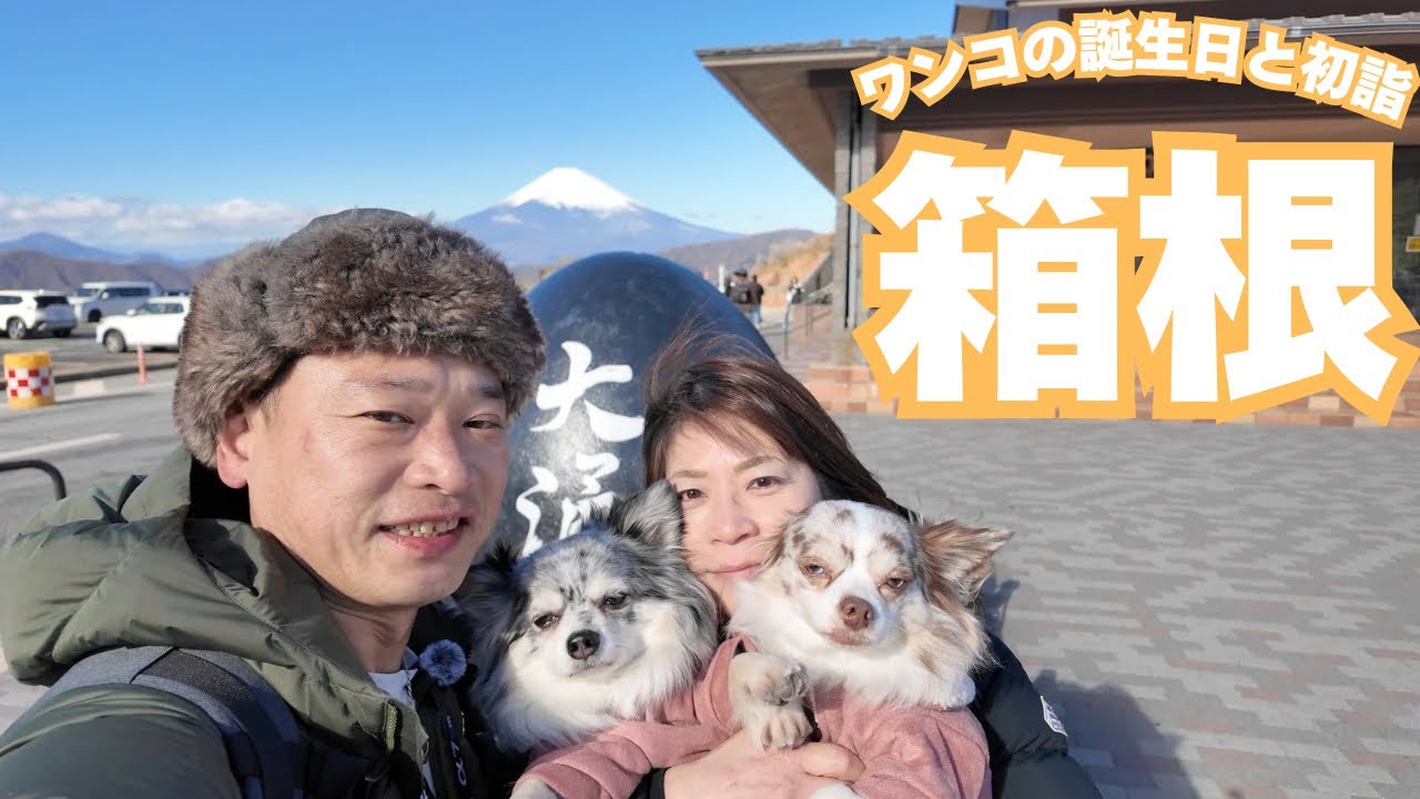 ワンコの誕生日と初詣旅