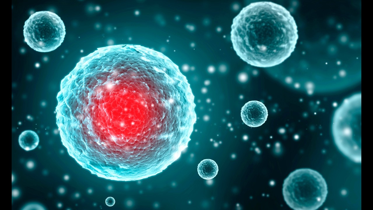 La revolución del conocimiento: fortaleciendo la medicina de precisión en niños con cáncer