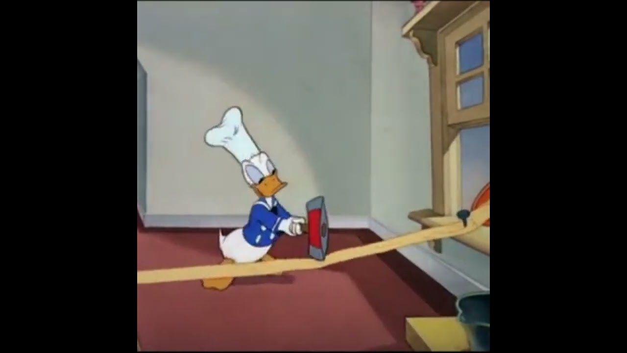 Donald Duck 40