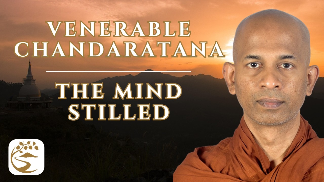 Sri Lanka's Meditation Renaissance: Forest Practice & the Magic of the Mind | Ven. Chandaratana Q&A