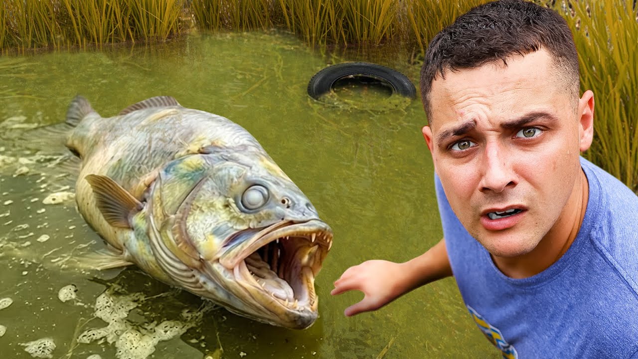 I Found Dead Fish in the Abandoned Pond! 