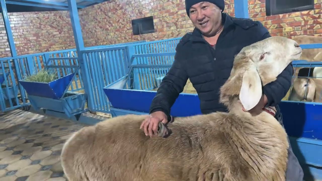 Зохиджон хакимов