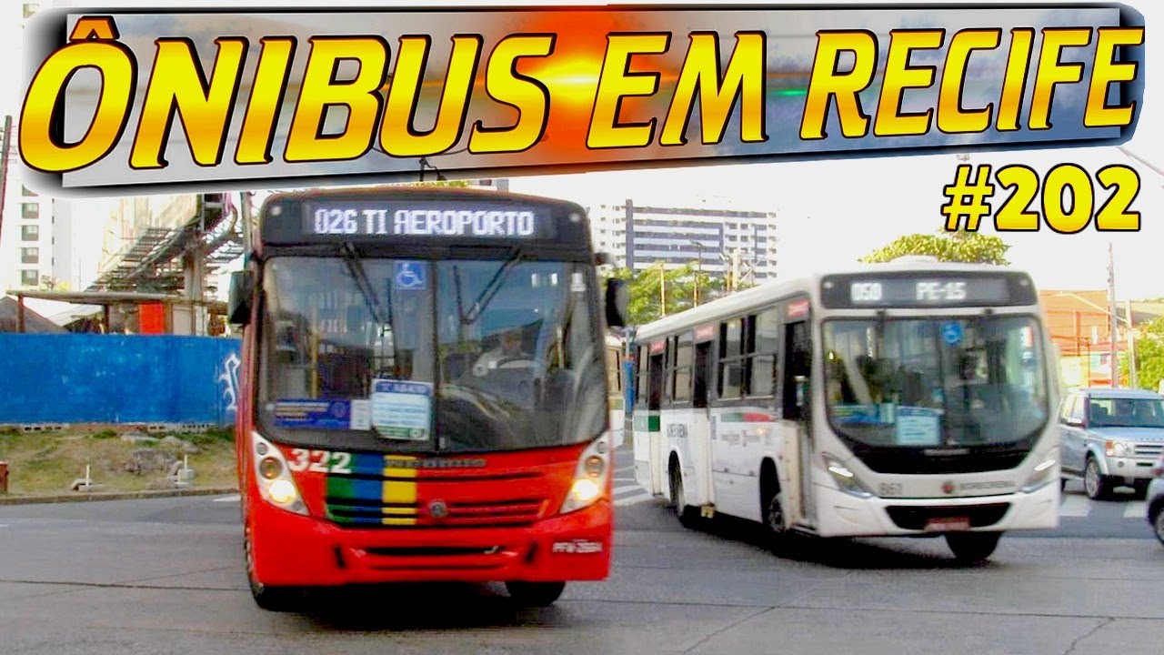 #202 Bairro do Pina - Av. Antonio de Goes - Movimentação de ônibus em Recife