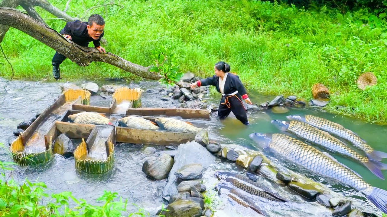 Creative Fish Trap Brings Unexpected Results of Dwarf Family - Primitive Fish Trap, Survival Basics