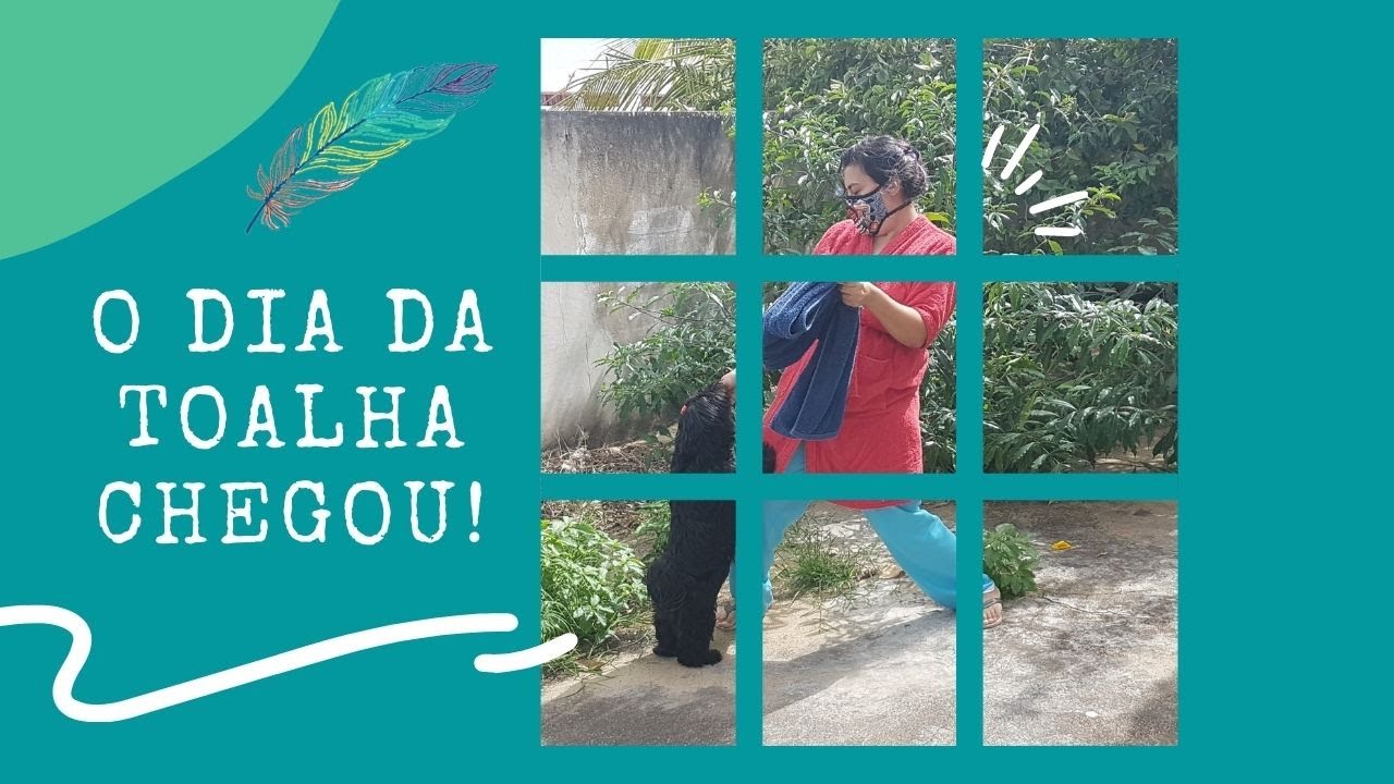 Feliz dia da toalha! #Shorts #EuMeCuido