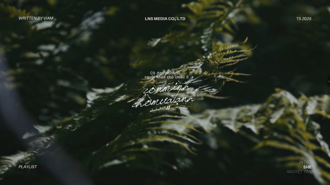 PLAYLIST. Cô Đơn Không Đáng Sợ | ViAM Best Collection