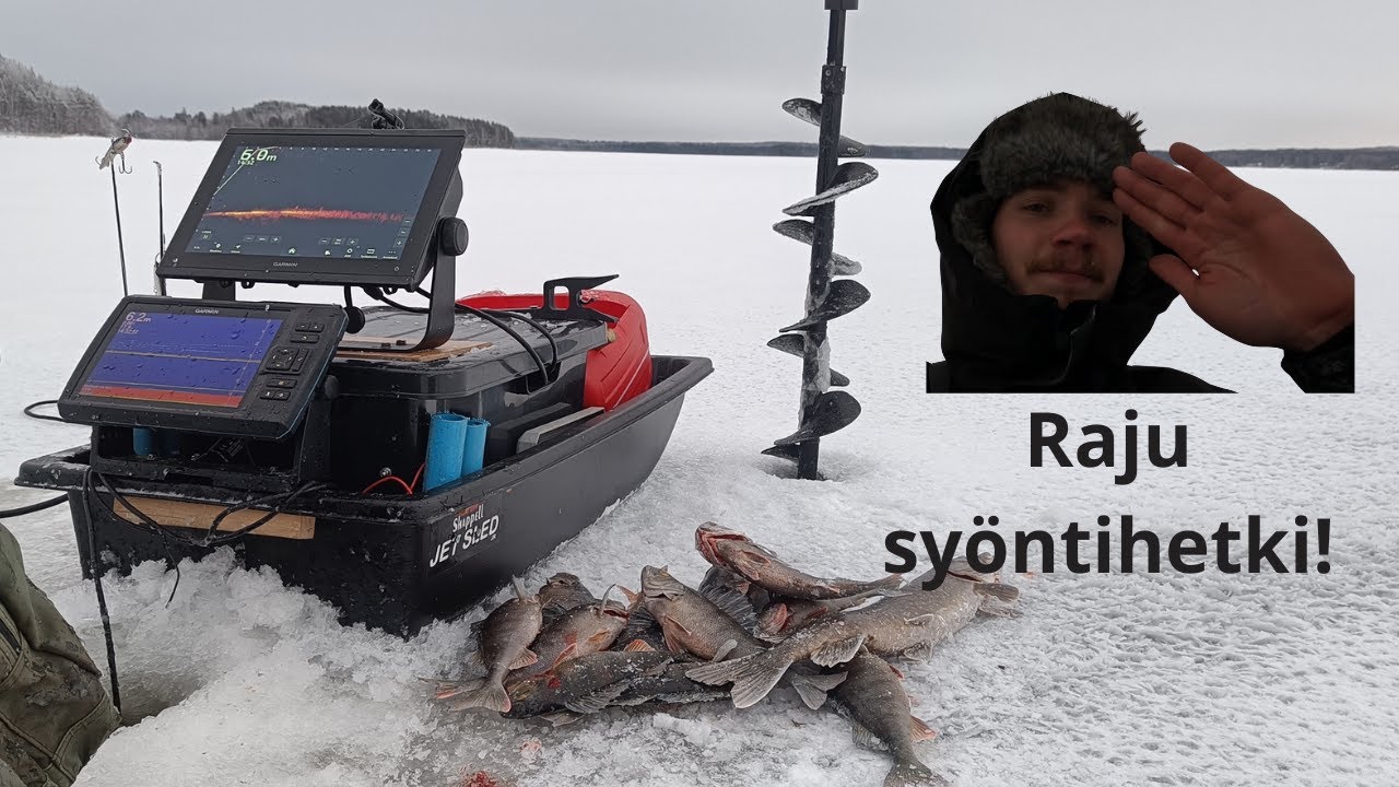 Hyvä kasa ahventa uusilta vesiltä