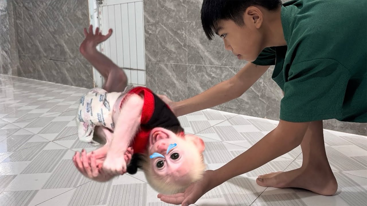 Brother Helped the Baby Monkey When He Was in Trouble!