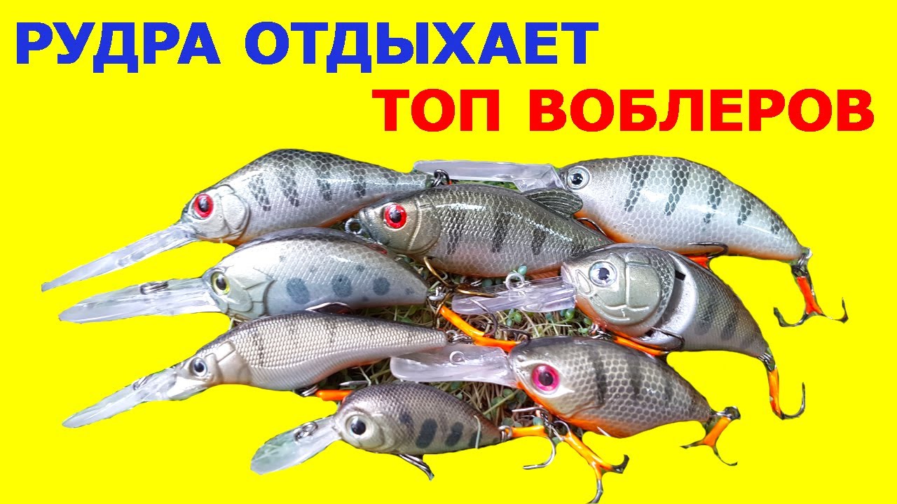Топ воблеров под условия! Рудра не наш воблер, в наш топ не попала! Лучшие воблеры на щуку и окуня