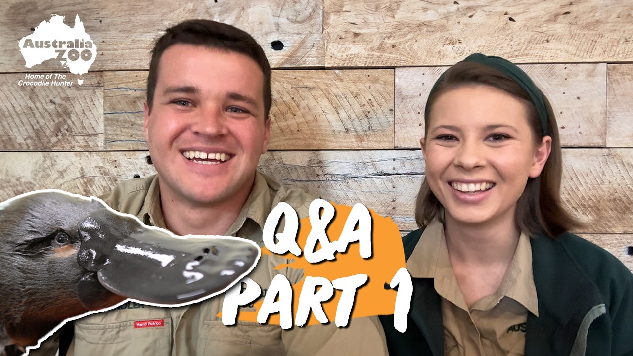 What Does the Future Look Like? | Bindi Irwin and Chandler Q&A: Part 1