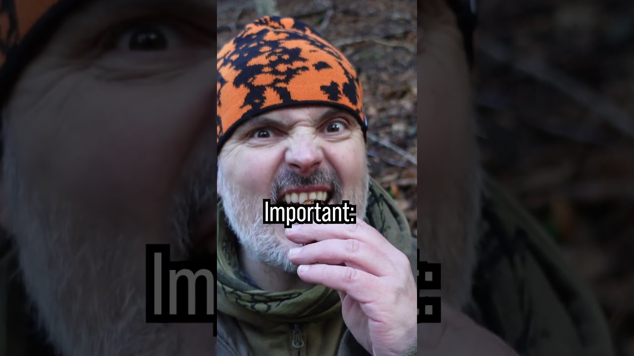 Умрёшь с голоду? НЕТ, тебе нужно всего 28 сосновых шишек для #выживания #навыковвыживания #выживалки