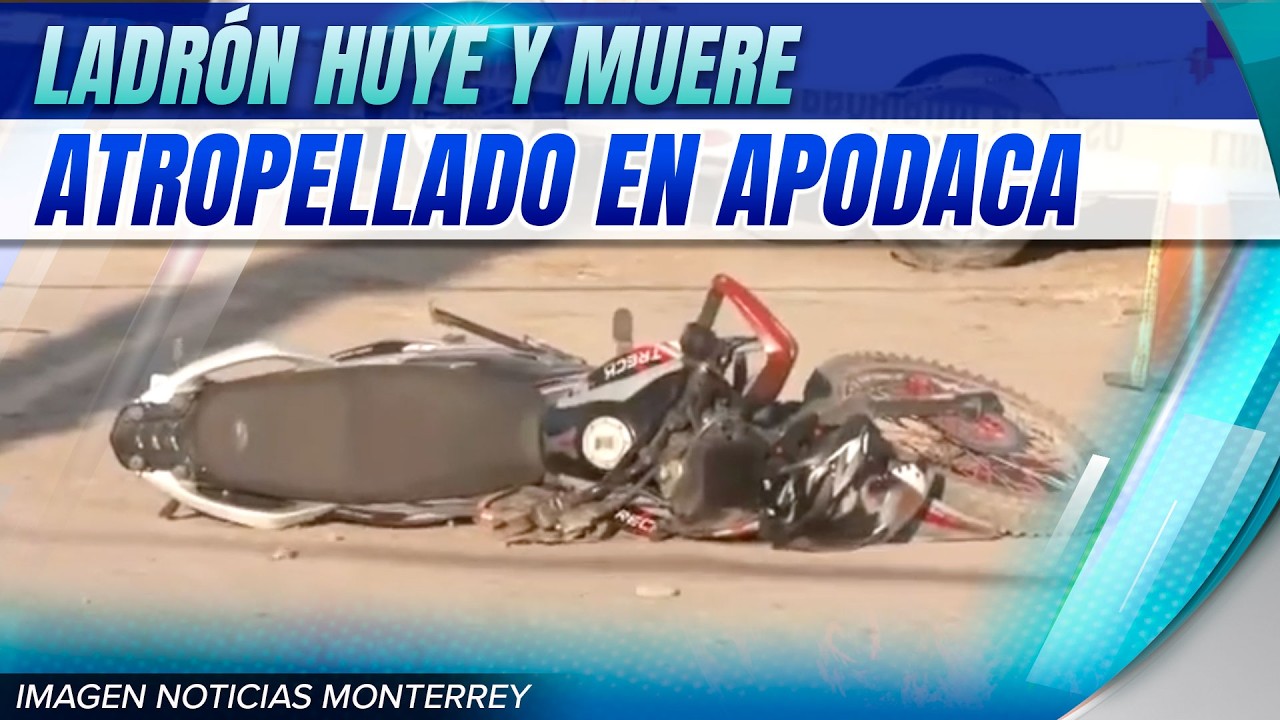 Ladrón huye y es atropellado en Apodaca | Noticias MTY primera emisión