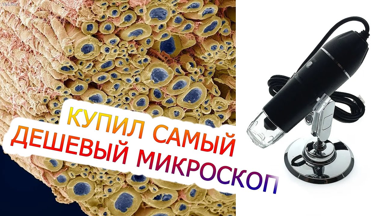 Купил самый дешевый цифровой микроскоп. Что из этого вышло?