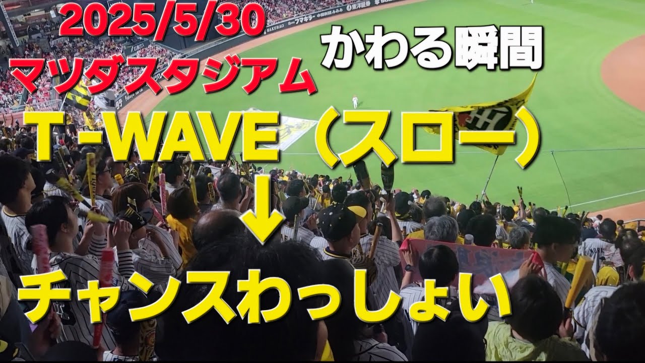 2025/5/30 阪神応援　T-WAVE→チャンスわっしょい　マツダスタジアム　#阪神タイガース応援 #阪神タイガース #阪神 #阪神応援 #プロ野球