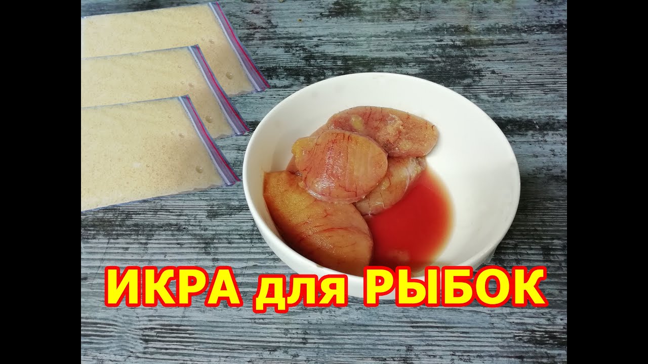 Икра - корм для рыбок своими руками