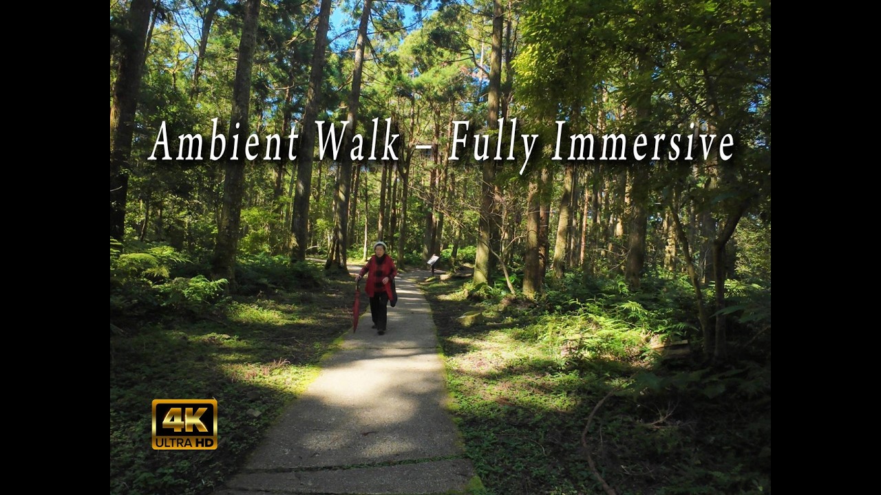 4K Ambient Walk – Fully Immersive