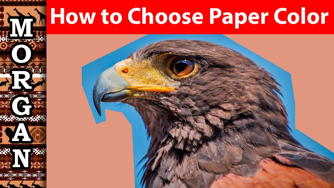 How to Choose the Paper Colour - Pastelmat - Jason Morgan Art