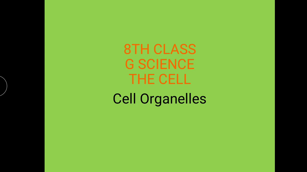 8th G Science. The cell. Cell Organelles