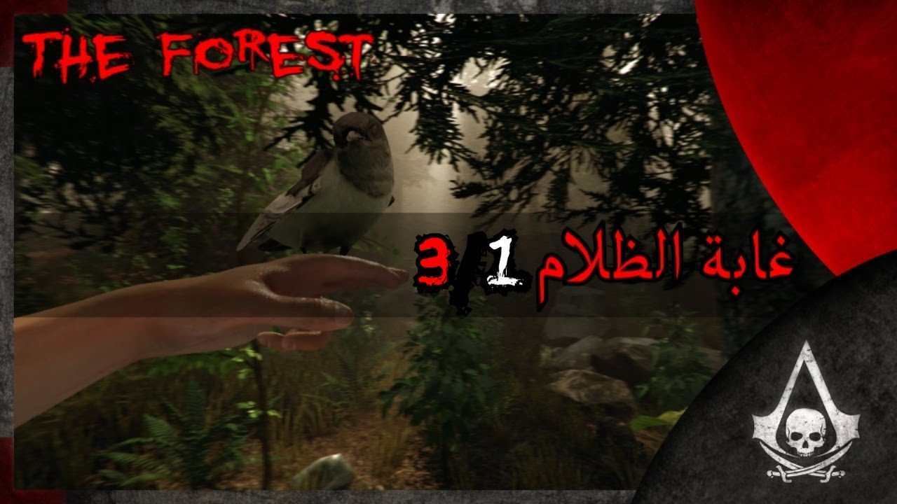 غابة الظلام 3/1 | The Forest | COOP