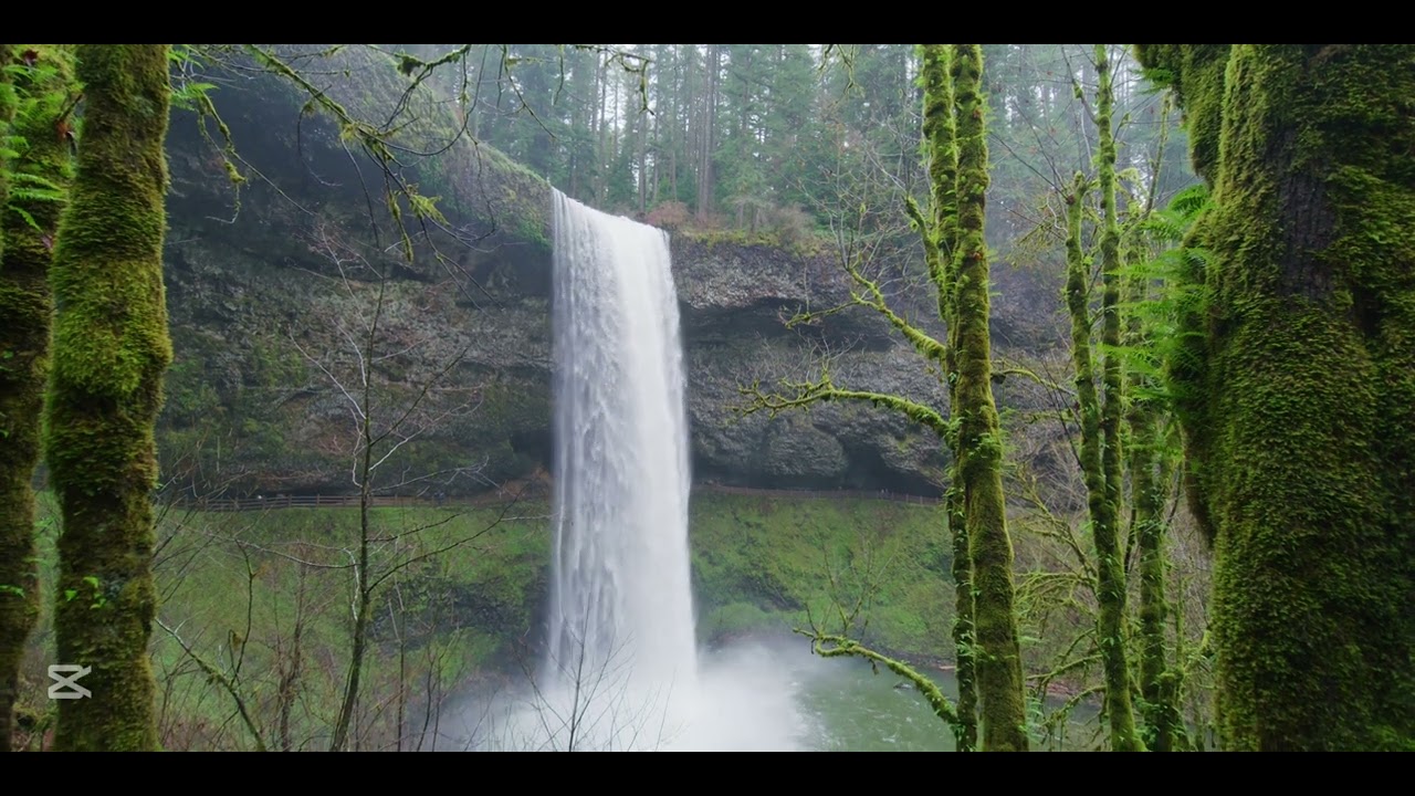 Waterfall / Natural Waterfall / Shorts