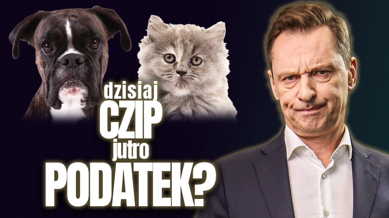 Państwo chce czipowania ps&oacute;w i kot&oacute;w. Czy jest jakiś ukryty cel?