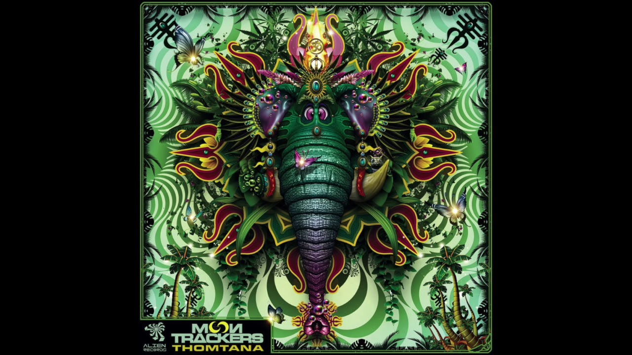 Moontrackers - Thomtana (Original Mix)
