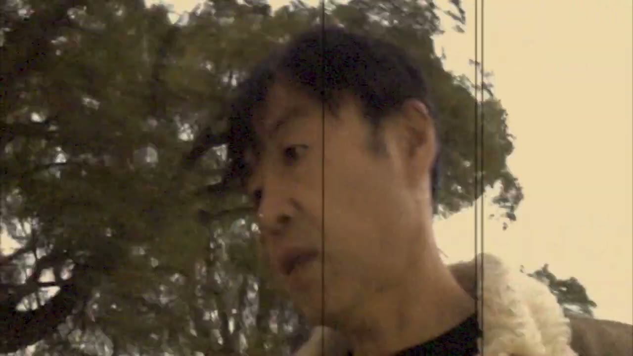 公園に花が咲く Flower Bloom In The Park ナカノリョー nakanoryo #music #song #rock #singersongwriter instrumental