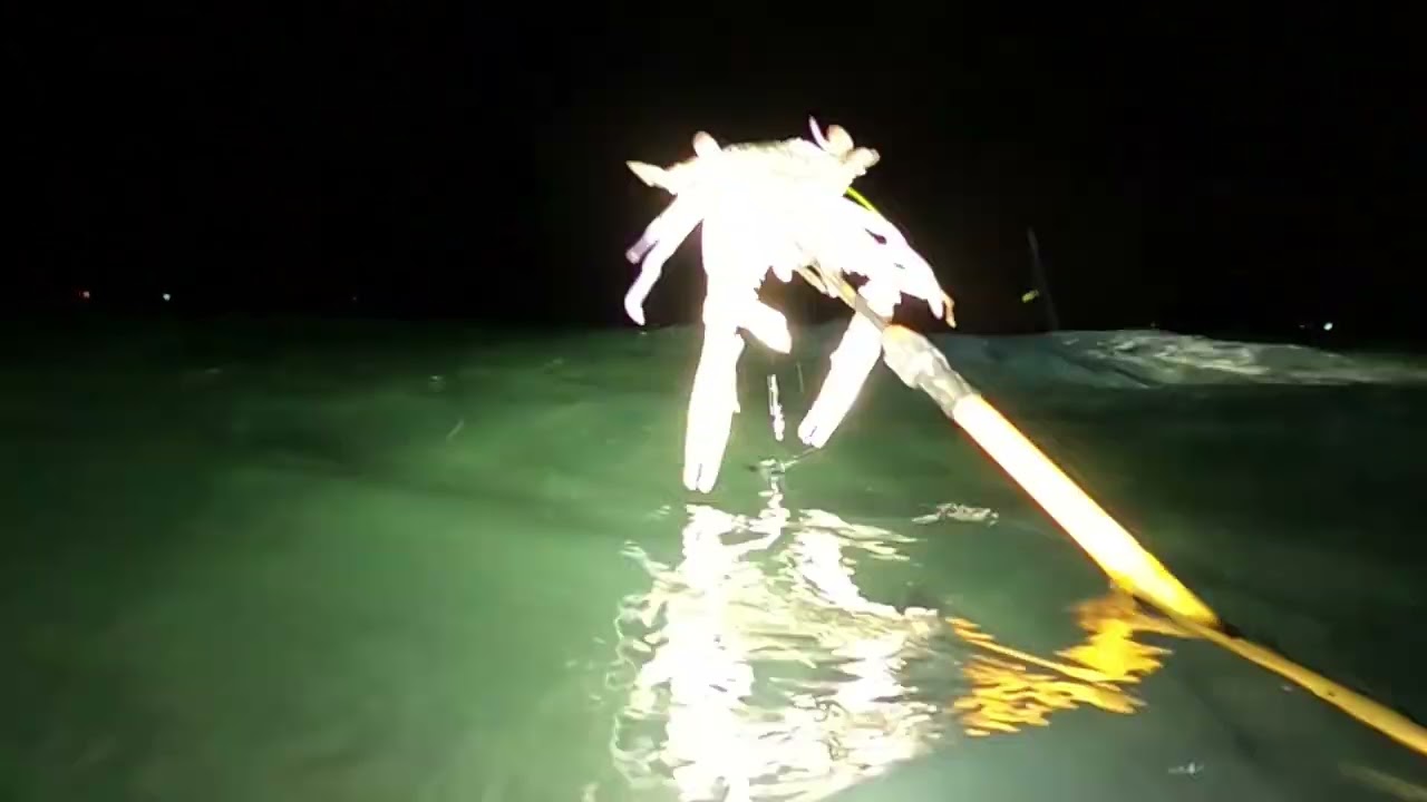 CATCHING UNLIMITTED CRABS, HAMOUR & many more. Overnight Island Camping with Friends!