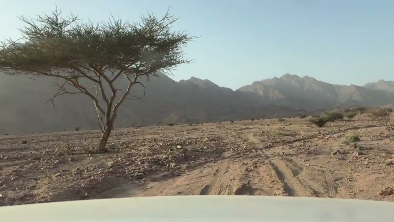 اكتشافات الطرق البريه ف المدينه المنوره 😂