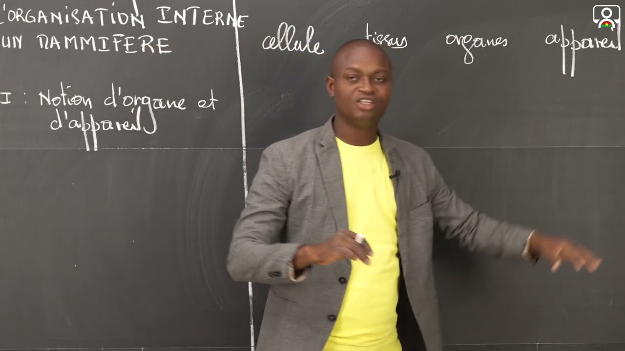 Cours - 3e - SVT : Notion d'organe et d'appareil 1/2