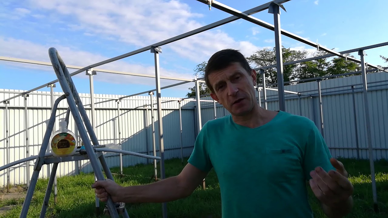 Почему погибают киви и хурма?