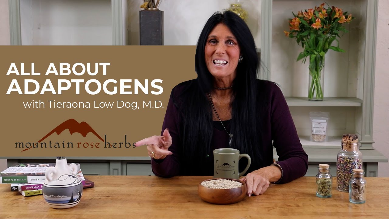All About Adaptogens with Dr. Tieraona Low Dog