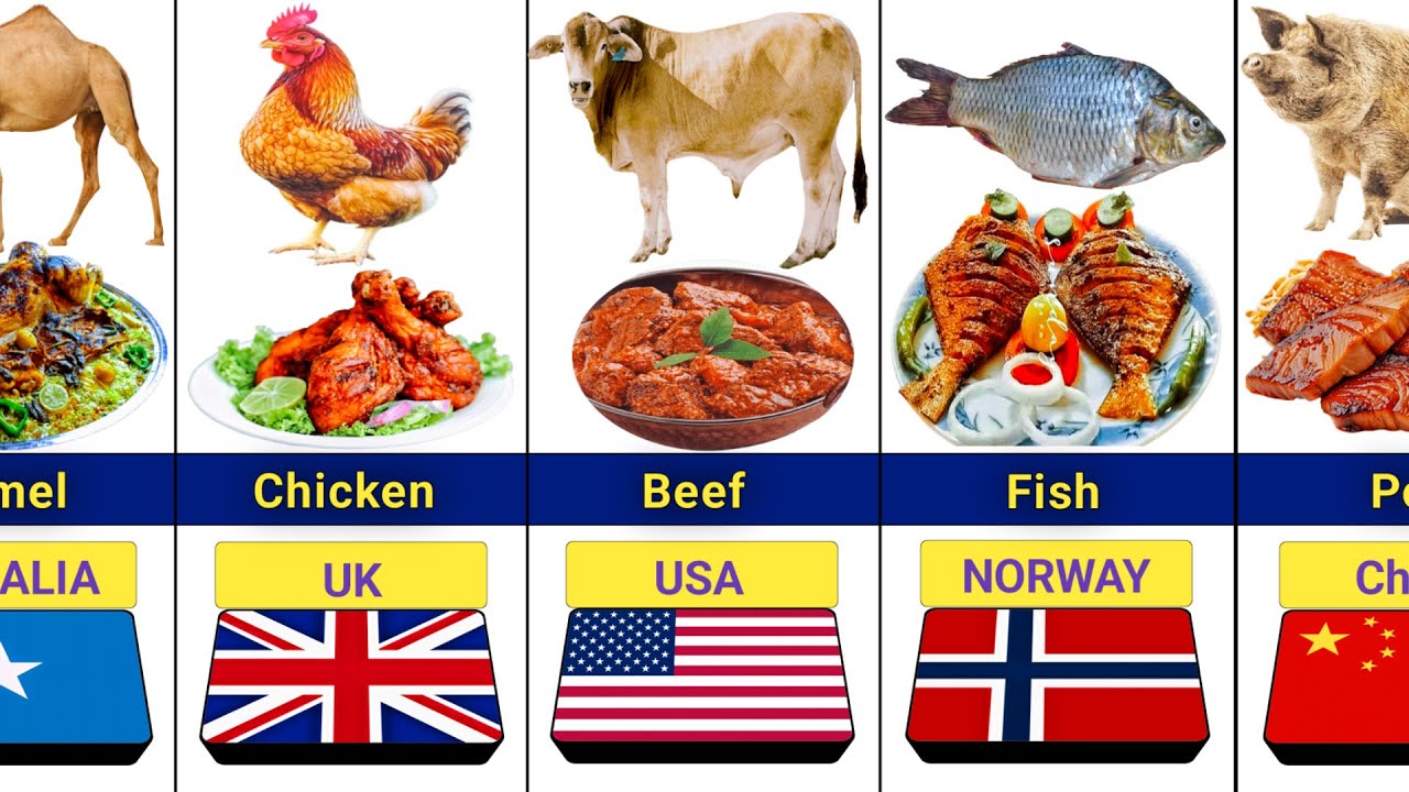 Самое потребляемое мясо в мире | Мясо по странам