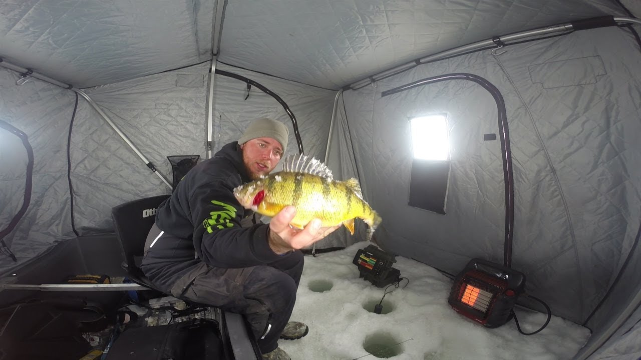 Catching Jumbo Perch on Lake Simcoe