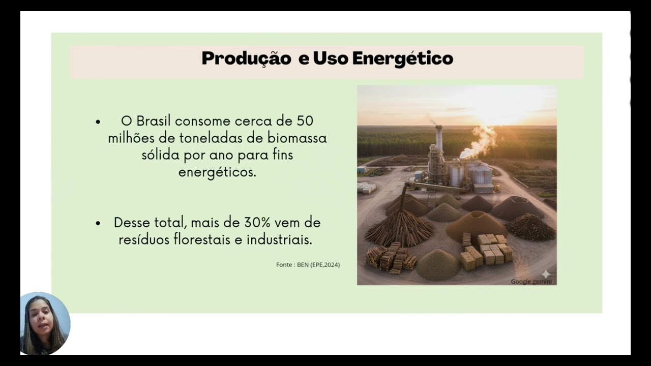 EA - Júlia Barbosa Guimarães: Geração de energia com resíduos florestais ... do Brasil