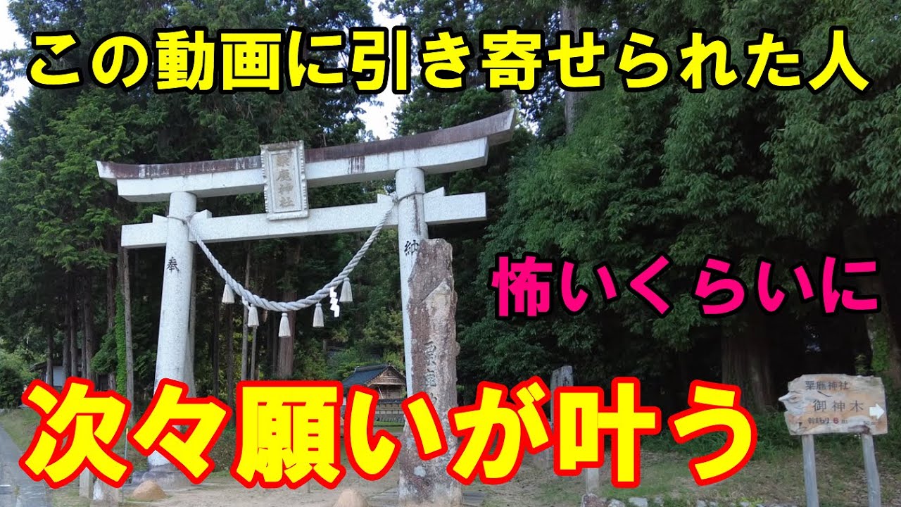 【パワースポット旅　粟鹿神社/兵庫県朝来市山東町】この動画に引き寄せられた人、次々に願いが叶いだします