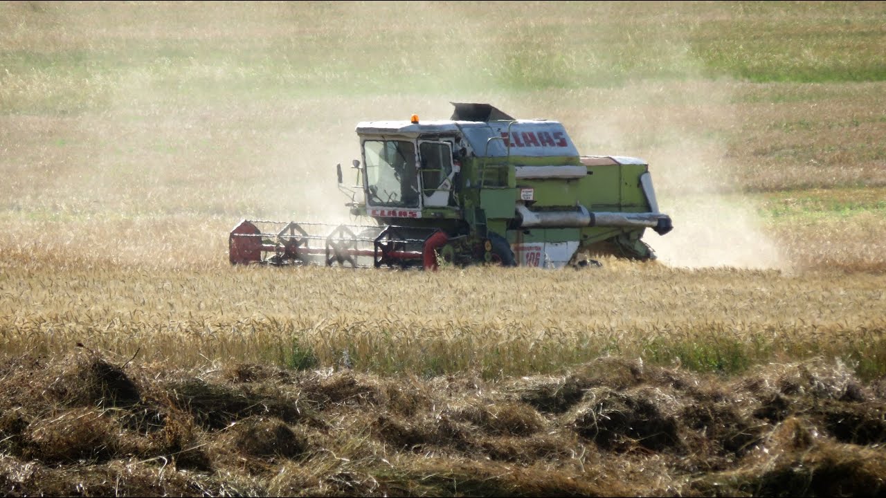 Claas Dominator 106 Barley Harvest/Árpa aratás 2023
