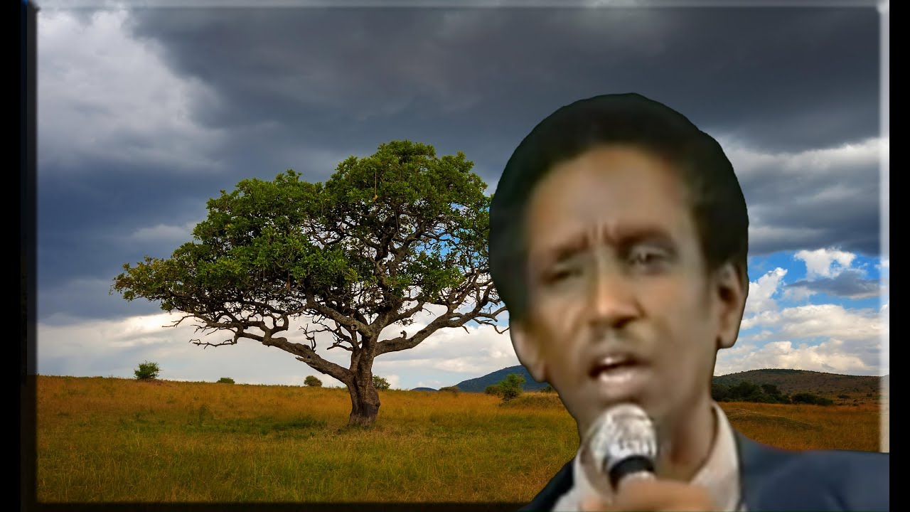 Heesaha Xuseen Yusuf Tarabi Ahun