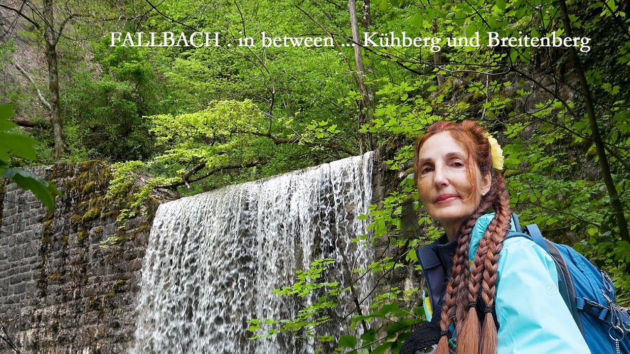 Fallbach ... der BACH zwischen Kühberg und Breitenberg
