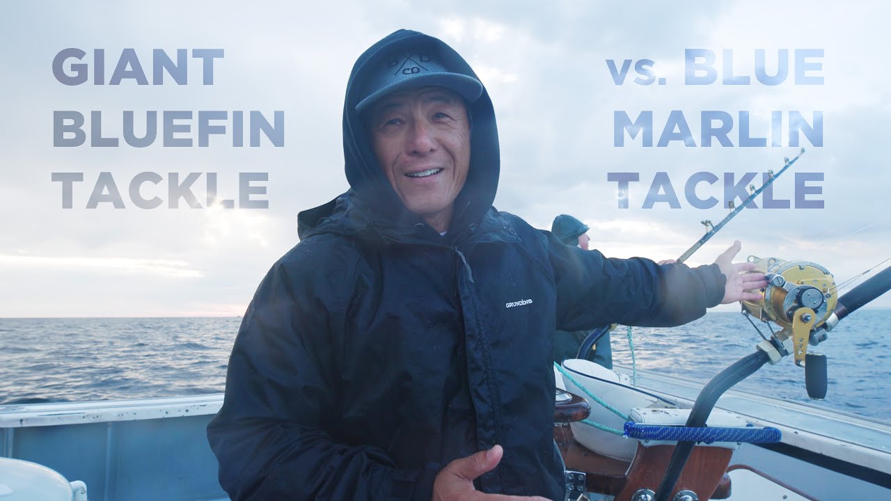 Giant Bluefin tackle vs Blue Marlin tackle