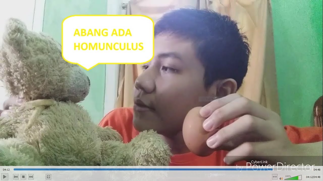 APA BENAR HOMUNCULUS BISA DIBUAT DIRUMAH ,ADAKAH HOMUNCULUS DI DUNIA NYATA #homunculus #aneh #viral