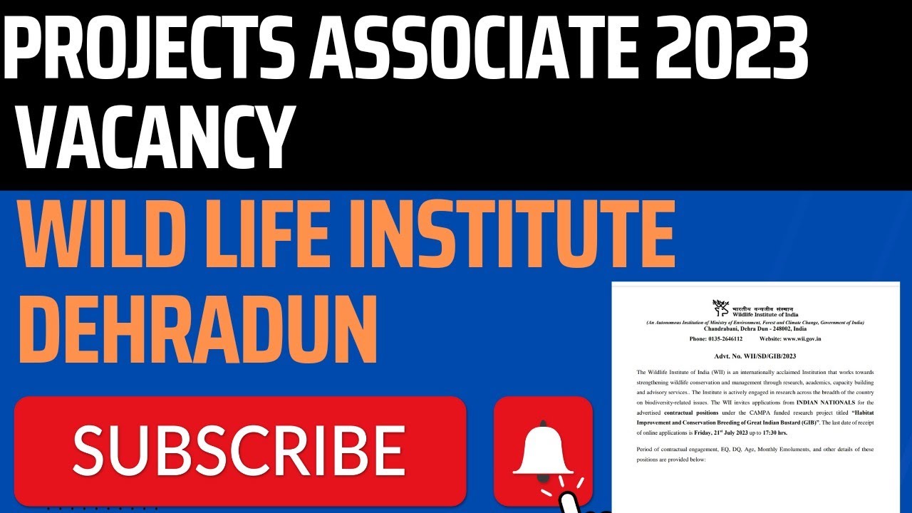 @chandraeducare109 #online #interview #wildlife Wii vacancy 2023 project associate Vacancy's