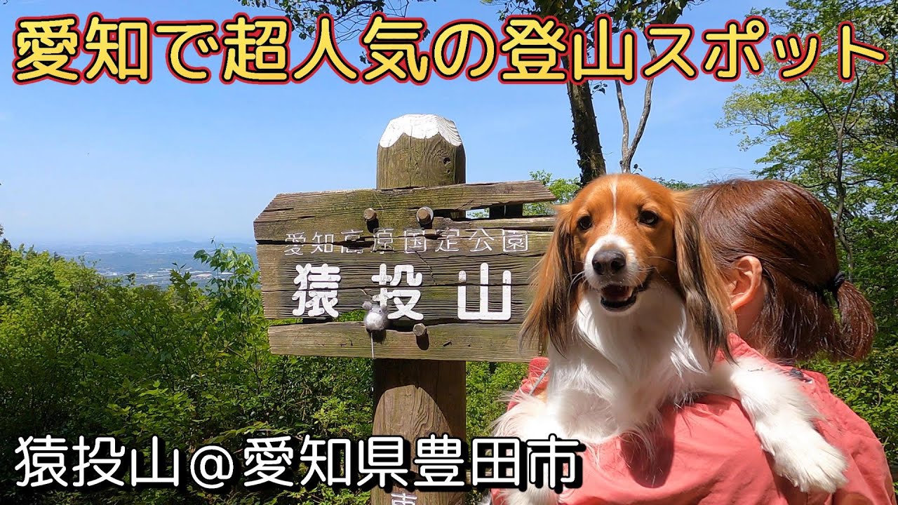 犬と一緒に猿投山登山