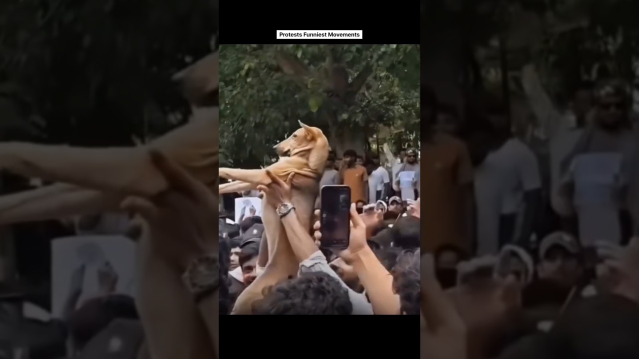 Protests Funniest Movements 🤣 #hatkesoch #shortsfeed #shorts
