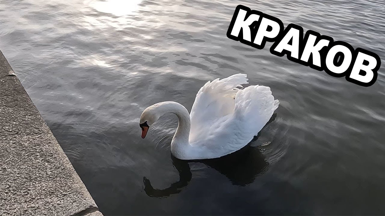 Краков - Нова година 24/25