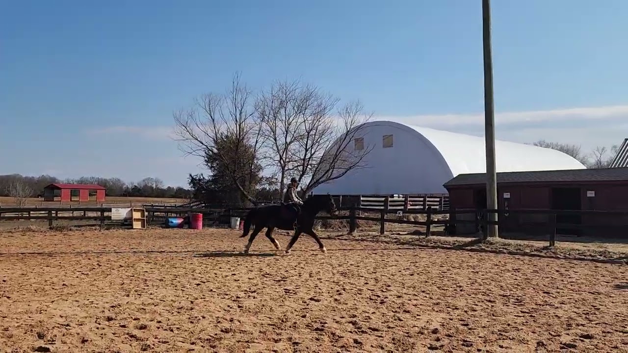 Cantering on Oden
