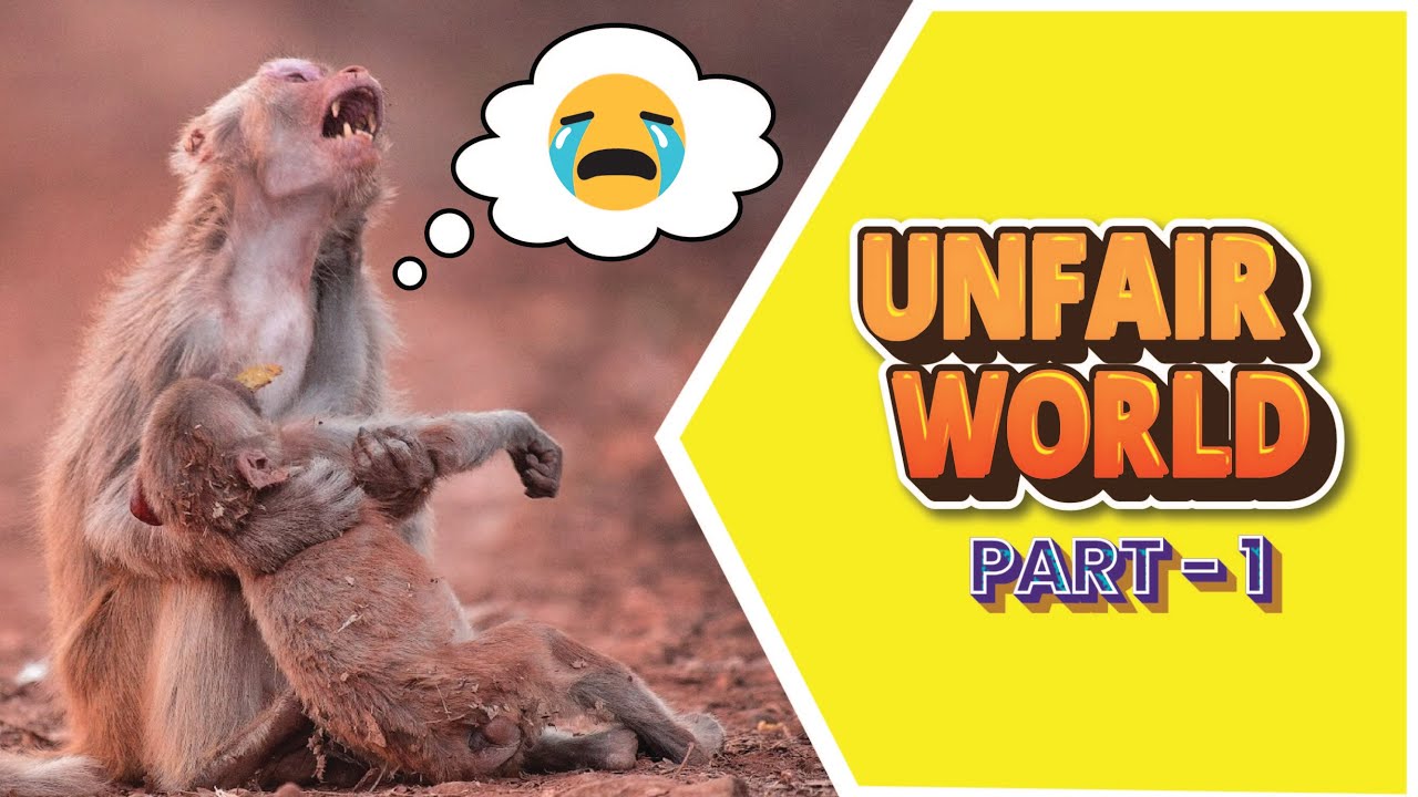 UNFAIR WORLD [Part 1] | Animal rights VS. Human rights