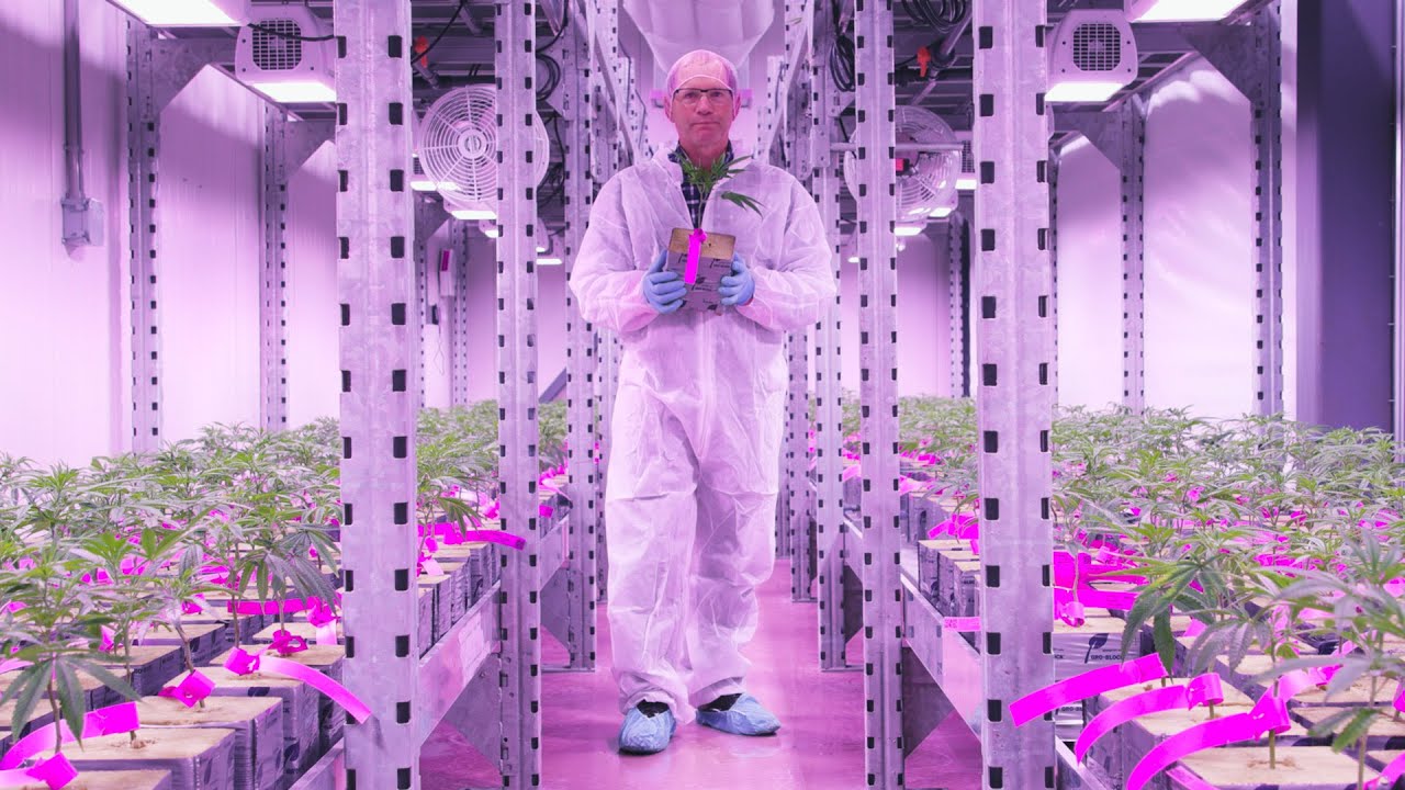 Meet The Jewells, The Family Behind FIGR&rsquo;s PEI Cannabis Growing Facility